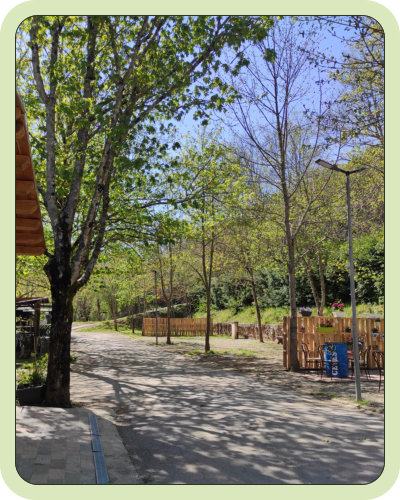 Bungalow in legno del Camping Acquacheta