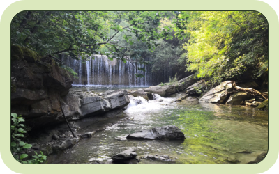 Panorama del Parco Nazionale Foreste Casentinesi
